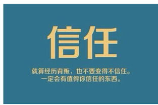 薇薇朵最強戰(zhàn)隊紫芳強勢招代理 攜手共創(chuàng)互聯(lián)網(wǎng)數(shù)據(jù)服務(wù)新篇章